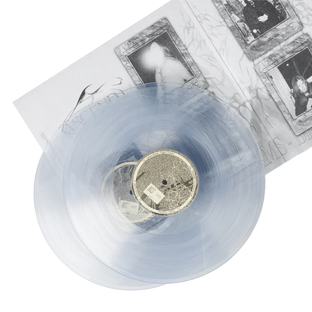Ascend 2LP - Image 4