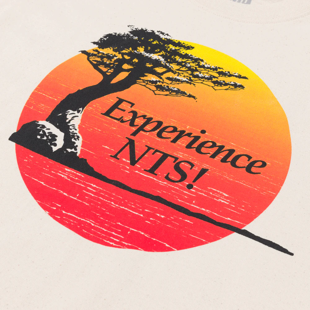 Experience NTS Tee - Natural - Image 5